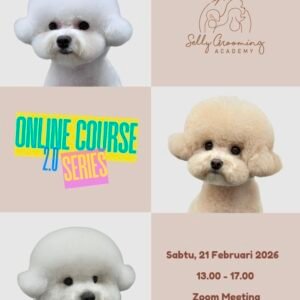 Head Phone Online Course